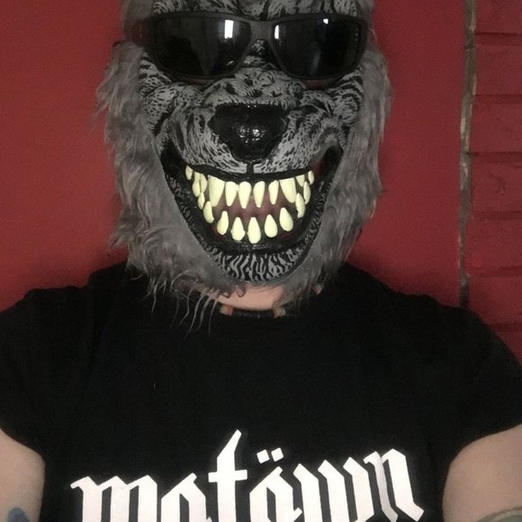 Meet your Posher, Christopher - Picture 1 of 1